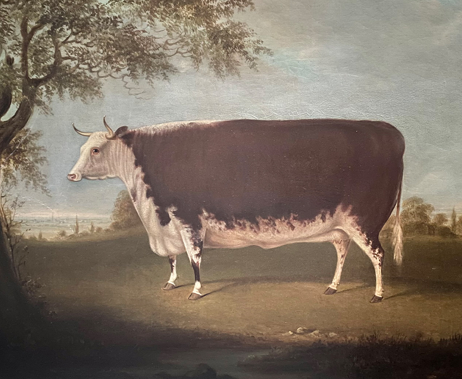 hereford-painting